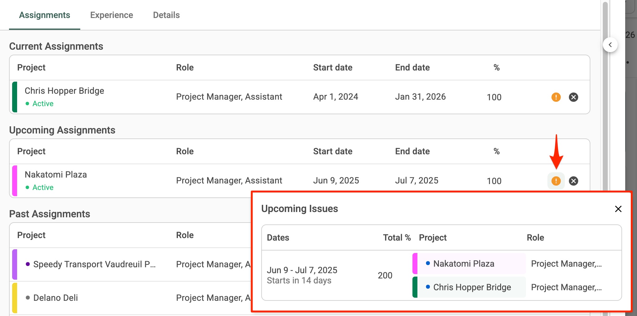 Assignment_Issues_on_Projects_-_c.jpg